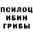 Псилоцибиновые грибы ЛСД Rima Kaklin