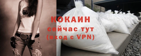 таблы Бородино
