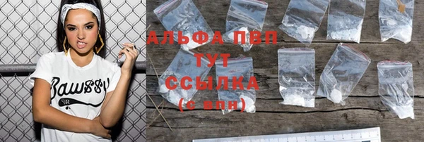 таблы Бородино