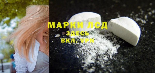 таблы Бородино